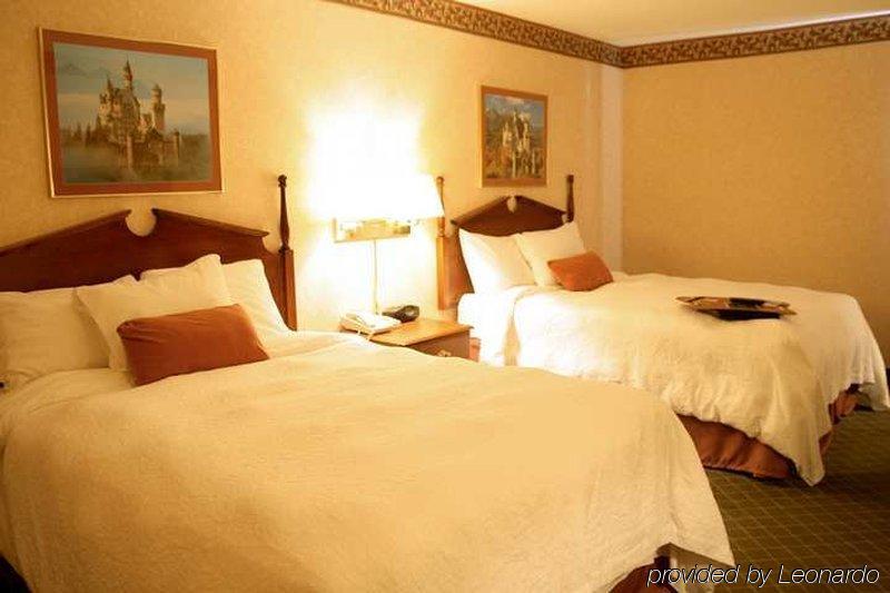 Hampton Inn Birch Run Rum bild